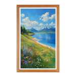 Frame Display machine