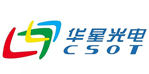 Csot